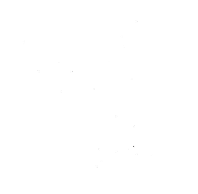 MCN-Service-logo